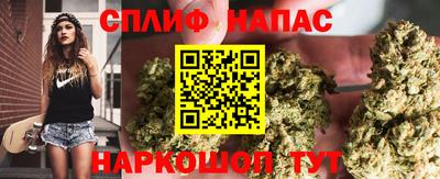 jwh Дмитров