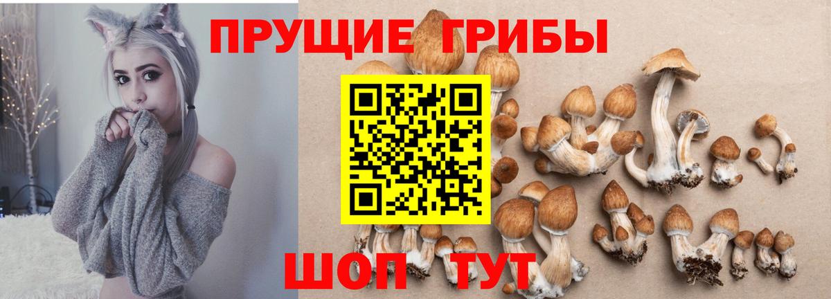Балабаново  купить закладку  Псилоцибиновые грибы Psilocybine cubensis  Вход с VPN  Галлюциногенные грибы Psilocybe 